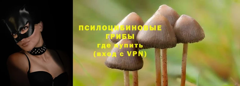 Галлюциногенные грибы MAGIC MUSHROOMS  Нижний Ломов 